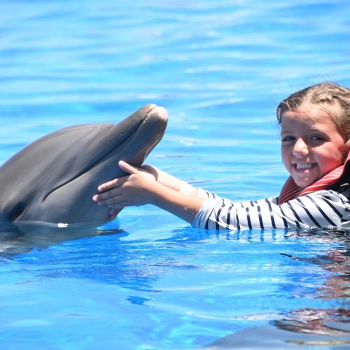 Marineland Dolphin Adventure